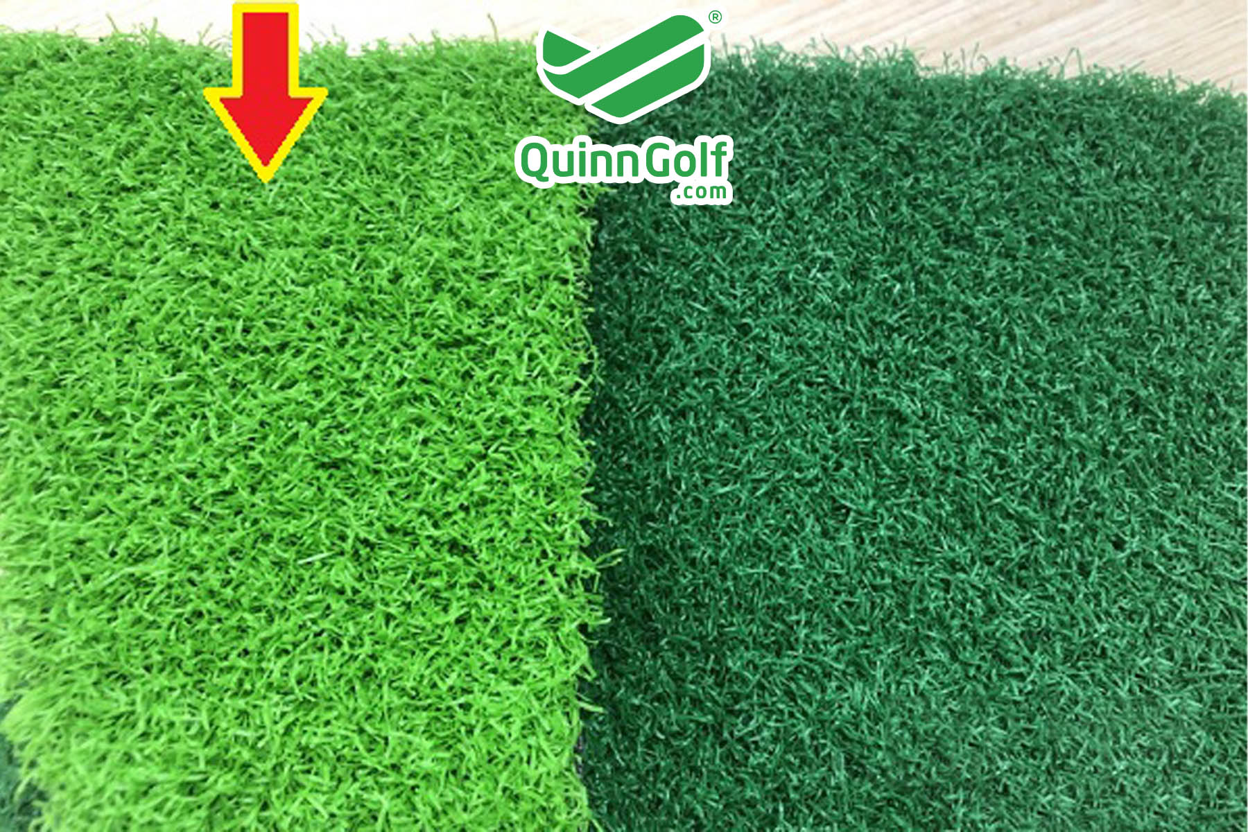 cỏ golf màu xanh lá mạ