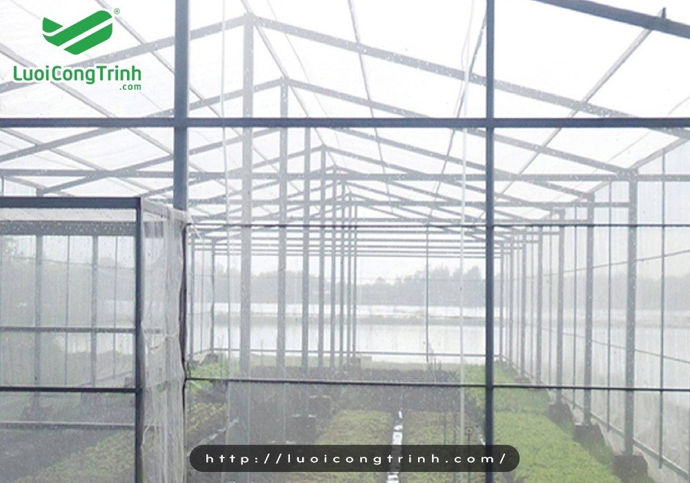 Lưới chắn côn trùng